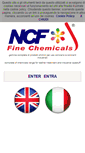 Mobile Screenshot of ncfit.com