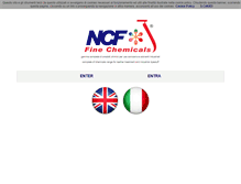 Tablet Screenshot of ncfit.com
